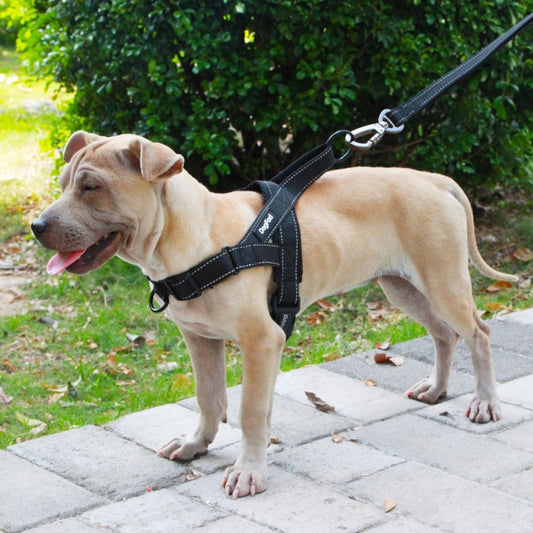 Adjustable Harness For Dogs